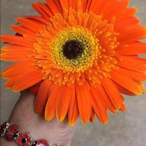 Meet your Posher, Erin